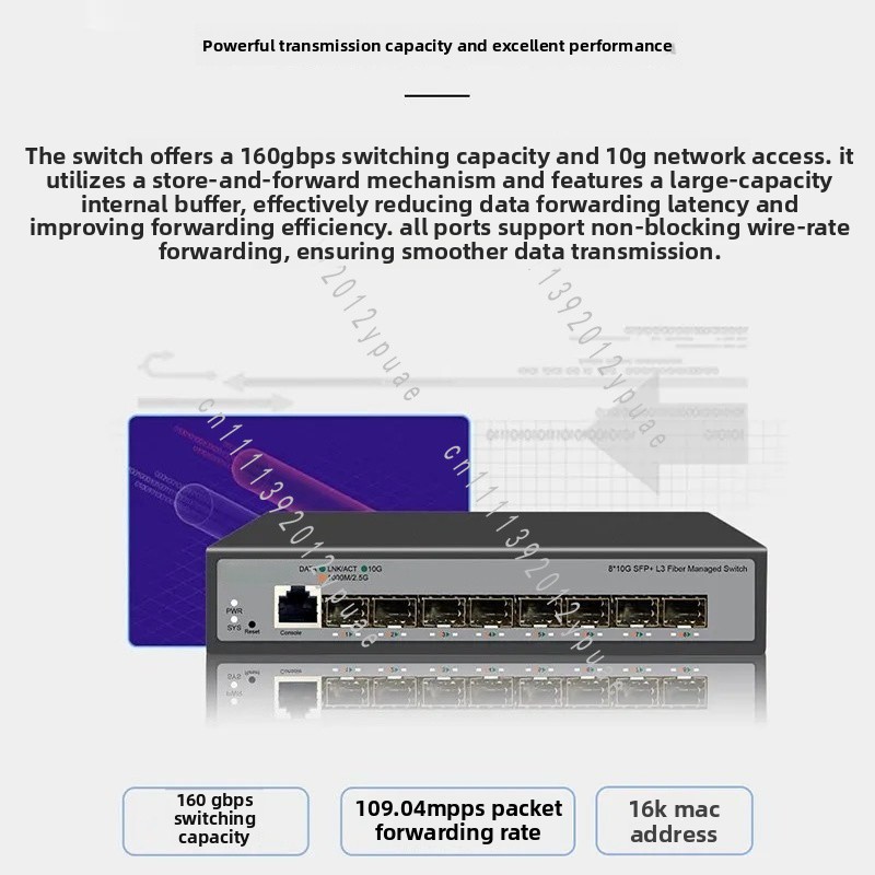 Switch di rete gestito a 8 por - Sfp+ 10G Managed Switch 8 Port recensione e prezzo