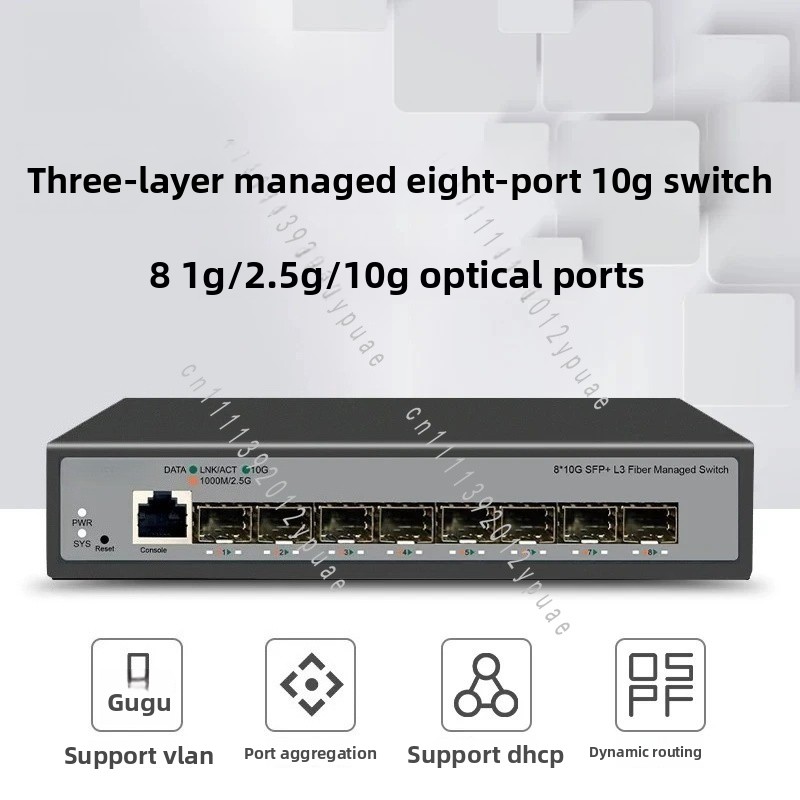 Switch di rete gestito a 8 por - Sfp+ 10G Managed Switch 8 Port recensione e prezzo