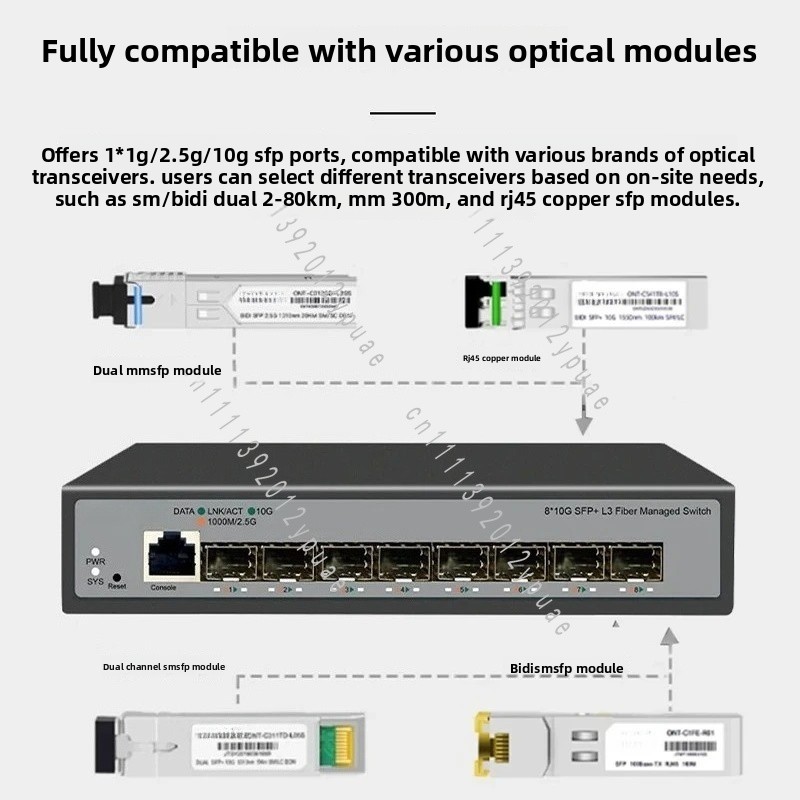 Switch di rete gestito a 8 por - Sfp+ 10G Managed Switch 8 Port recensione e prezzo